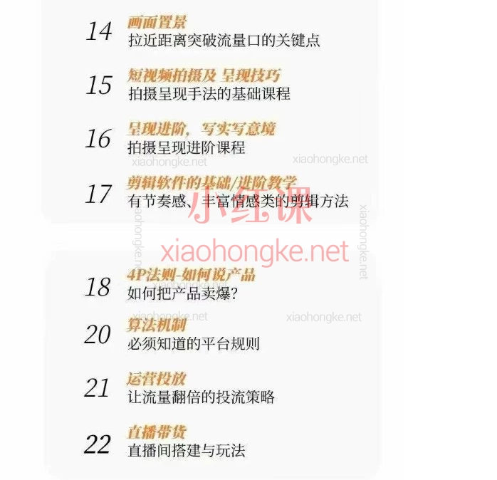 大元子直销5.0短视频IP成交系统|29节体系课,搭建账号·内容·运营三大支柱