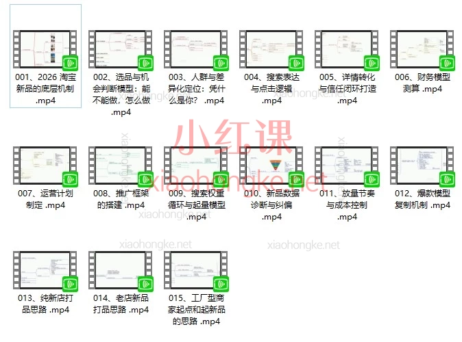 大山2026淘系推广体系课|15节视频课讲透淘宝新品从0到爆的全链路