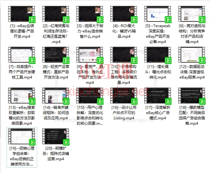 Vincent-2026 eBay全域增长课｜从0到1破解平台流量密码