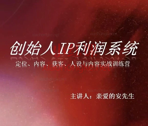 2026安先生-创始人IP利润系统8月训练营IP打造三天进阶课
