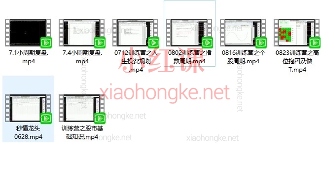 《秒懂龙头 2026》直播视频合集,一套聚焦 A 股短线交易与龙头股实战的视频课程