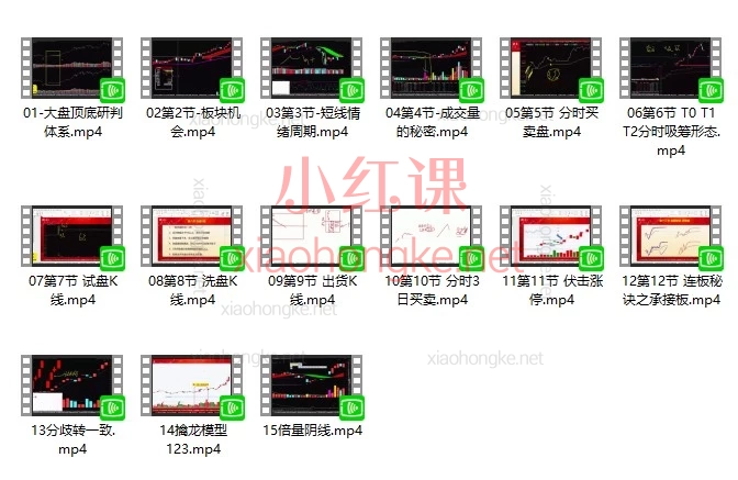 神光陈超《擒龙特训营》系统课（含指标工具包）课程简介：15 节主课 + 12 套指标 + 全年陪伴复盘