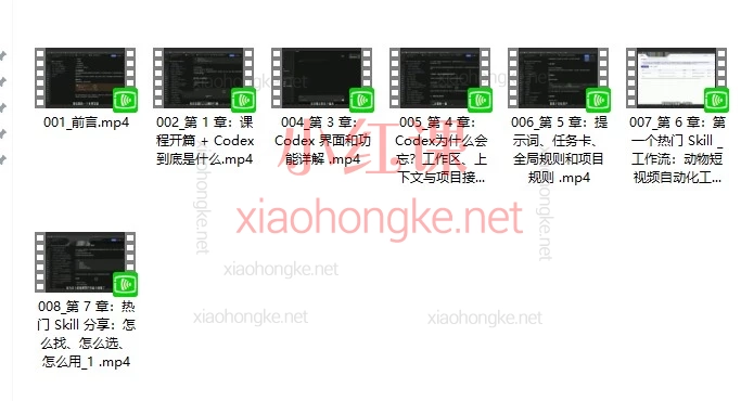 CodexAI实战应用课程：把 AI 编程助手用成真正的生产力工具