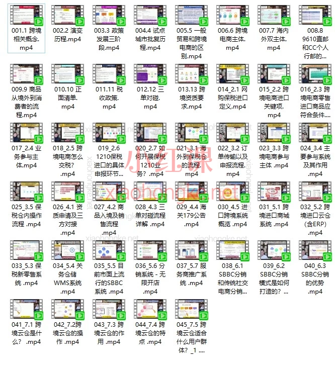 跨境电商进口全流程零基础入门到实操视频课:政策、资质、保税仓、SBBC分销一次讲透
