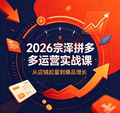 2026宗泽拼多多运营实战课:从专属小池到大流量池拼多多推广赛道、匹配探索与数据决策实战课