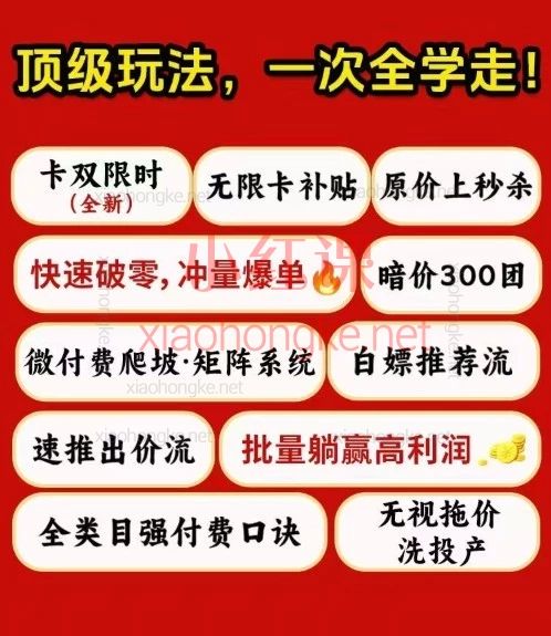 2026黄大人-拼多多特训营直通车从会开到会算:强付费、自然流、防比价与万人团全解析