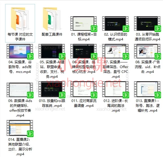 lead菌·亚马逊套利培训，亚马逊联盟 × Google Ads 投放实战课：14 节课跑通从 0 到 1 的盈利闭环