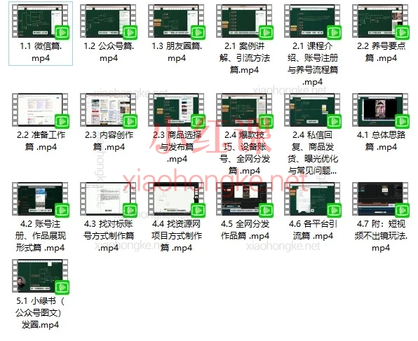 零一学苑·IP合伙人计划实战训练营:微信私域 + 内容电商 + 短视频引流全流程实操课