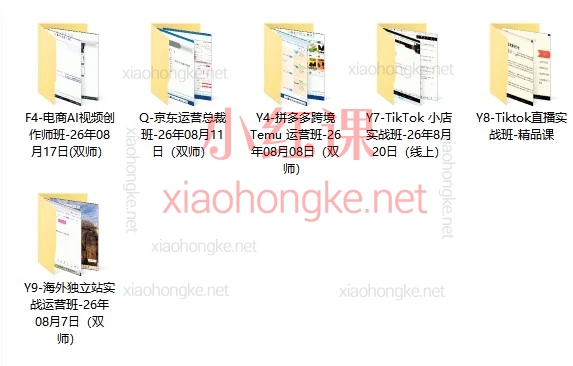 美迪电商合集｜26年电商实战系统课（AI视频 · 京东 · 拼多多跨境 · TikTok · 独立站）