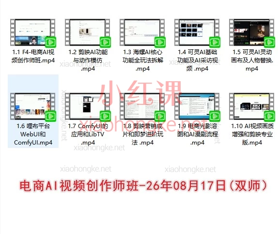 美迪电商合集｜26年电商实战系统课（AI视频 · 京东 · 拼多多跨境 · TikTok · 独立站）