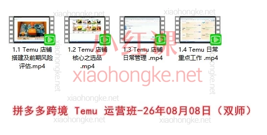 美迪电商合集｜26年电商实战系统课（AI视频 · 京东 · 拼多多跨境 · TikTok · 独立站）