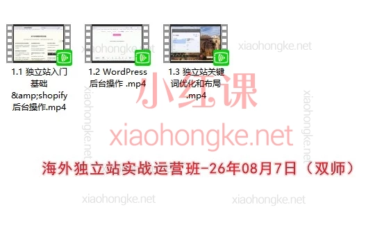 美迪电商合集|26年电商实战系统课(AI视频 · 京东 · 拼多多跨境 · TikTok · 独立站)
