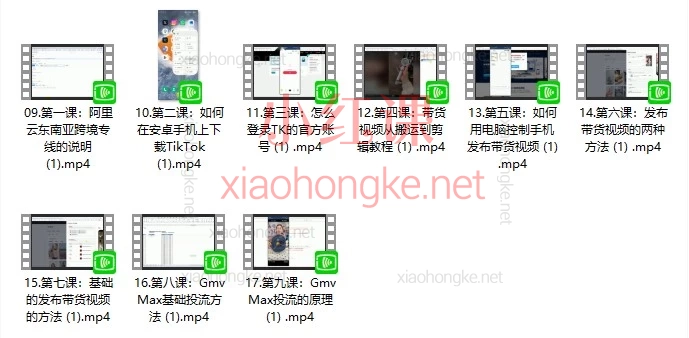 TikTok东南亚跨境店从0到出单实战课