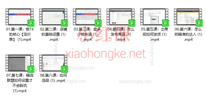 TikTok东南亚跨境店从0到出单实战课