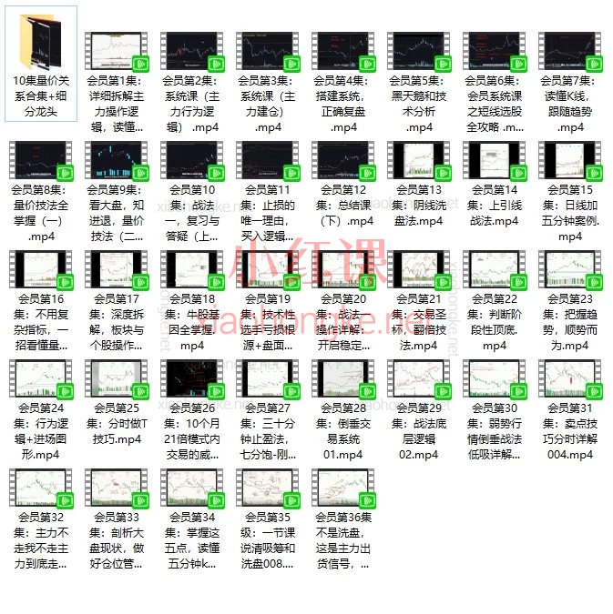 2026大A梦想家量价关系+会员课|A股量价分析/主力行为逻辑学习资料