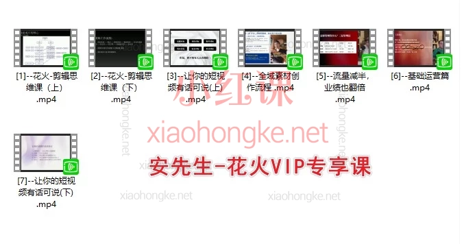2026安先生-短视频行业专题研讨会+花火VIP专享课