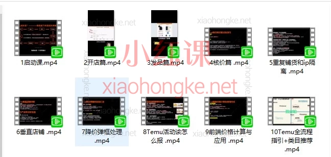 Temu纯新手0-1全流程实战课:从开店发品到核价活动全解析