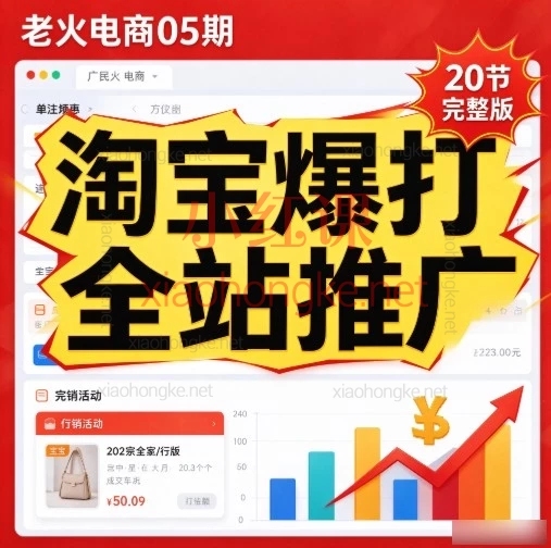 淘宝全站推广爆款打法全解析实操课 | 老火电商05期（20节完整版）