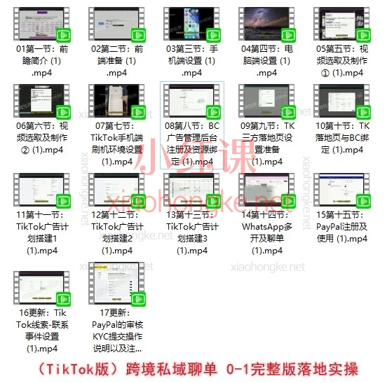 0基础做海外私域聊单：Facebook/TikTok/Instagram环境+广告+WhatsApp清单