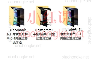 0基础做海外私域聊单：Facebook/TikTok/Instagram环境+广告+WhatsApp清单