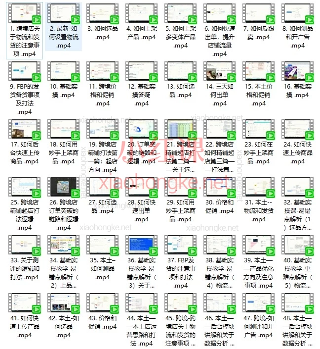 俄罗斯跨境OZON+WB系统课｜选品/物流/FBP/广告实操合集