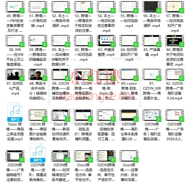 俄罗斯跨境OZON+WB系统课｜选品/物流/FBP/广告实操合集