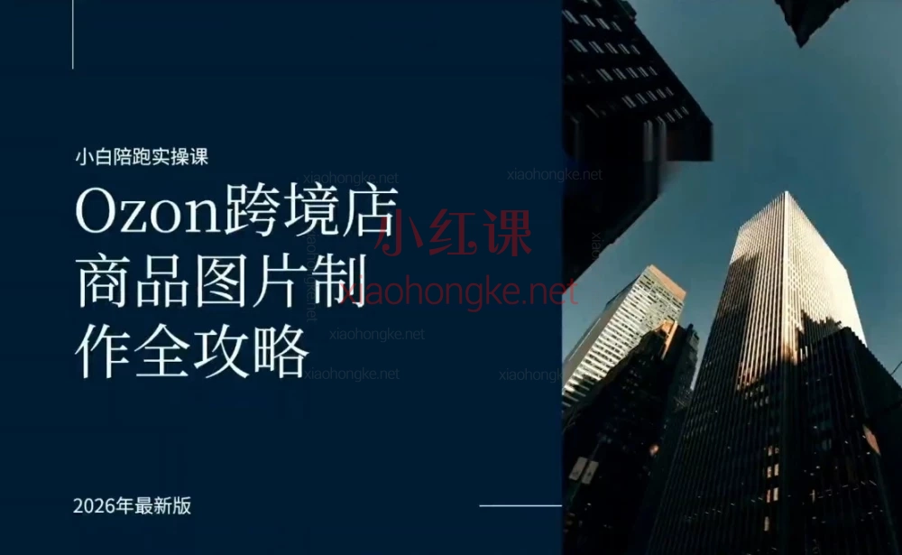 俄罗斯跨境OZON+WB系统课｜选品/物流/FBP/广告实操合集