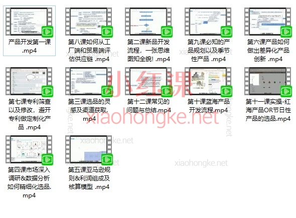 亚马逊产品开发精品课程:从0到1打造爆款产品的完整实战指南