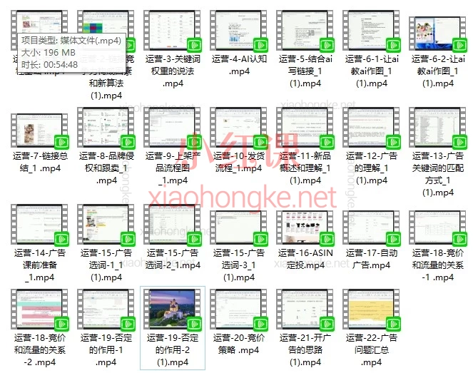 2026翎琅跨境亚马逊运营从0到1系统实战课：链接打造·AI赋能·高阶广告投放全攻略