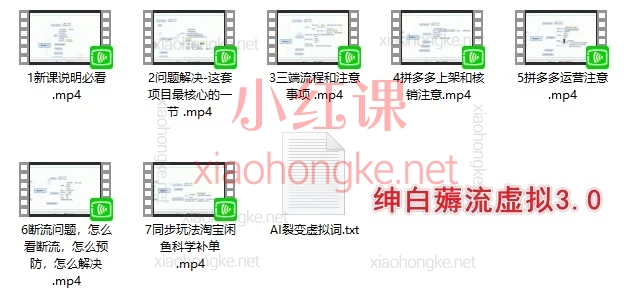 虚拟类目怎么做起店？薅流虚拟4.0插件课+AI选品全拆解｜从0到1做淘宝闲鱼拼多多虚拟商品