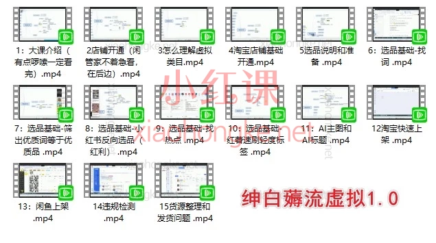 虚拟类目怎么做起店?薅流虚拟4.0插件课+AI选品全拆解|从0到1做淘宝闲鱼拼多多虚拟商品