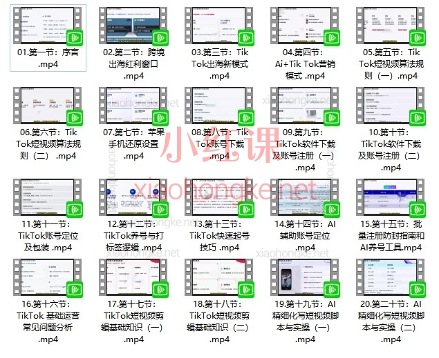 佰事德AI+TikTok跨境出海实战课|零基础掌握账号搭建、算法规则、AI定位、快速起号与短视频脚本创作