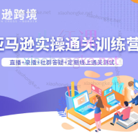 2025老陈聊跨境:亚马逊实操通关训练营37期、38期)(含选品、广告、Listing、AI应用)