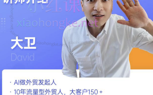 大卫外贸13.0、14.0、15.0、16.0、17.0、18.0期训练营涵盖:ai独立站建设、ai开发信