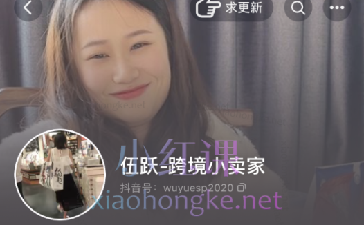 伍跃跨境小卖家：跨境拼多多TEMU带入门实操指引，选品、入驻、运营