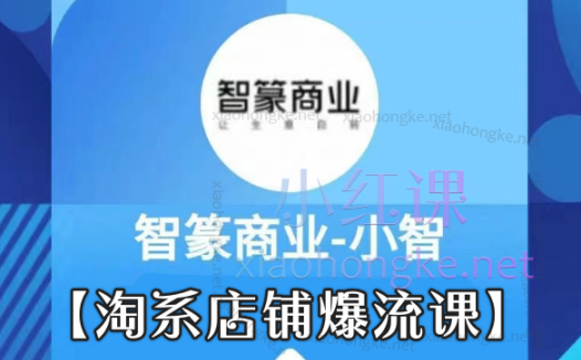 智篆商业【淘系店铺爆流课】