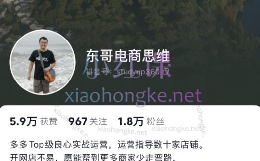 东哥电商思维:拼多多运营核心思路与实操教程(纯课程)