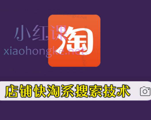 竹风店埔快淘系搜索技术-店捕快年度会员2022-2024年