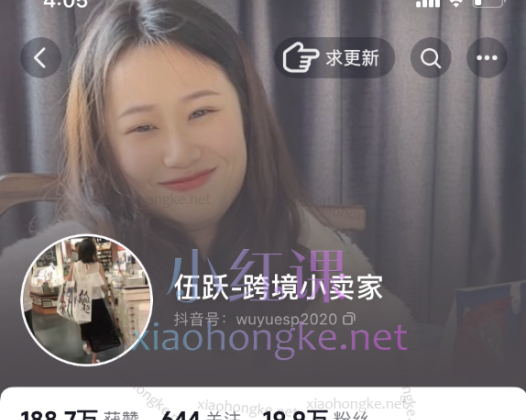 伍跃跨境小卖家：跨境拼多多TEMU带入门实操指引，选品、入驻、运营