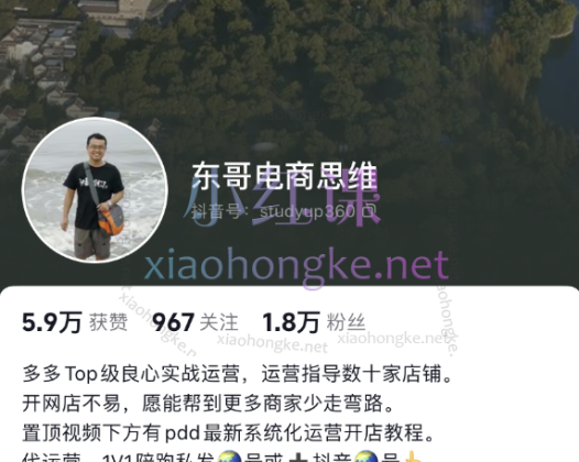 东哥电商思维：拼多多运营核心思路与实操教程(纯课程)