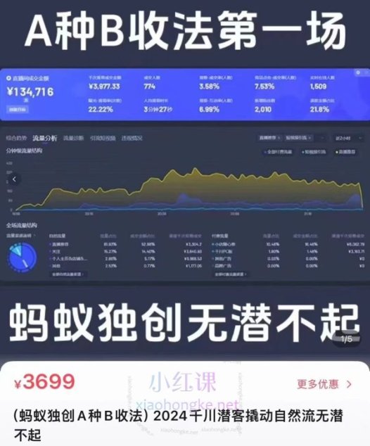 蚂蚁电商2024千川潜客撬动自然流(蚂蚁独创A种B收法)
