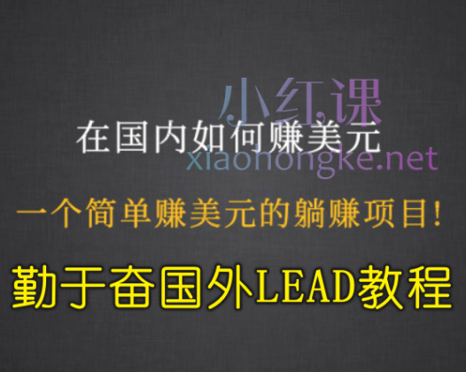 勤于奋2022年国外LEAD教程（视频+课件）