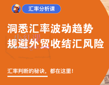 外土司汇率分析冠军,洞悉汇率波动趋势,规避外贸收结汇风险