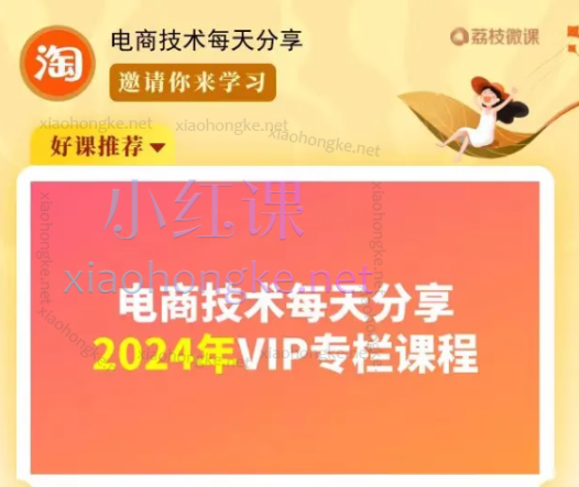 电商技术每天分享:2023-2024专栏课程