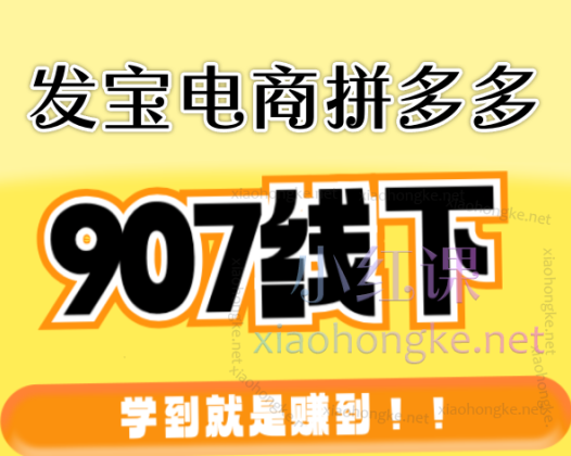 发宝电商拼多多907线下课