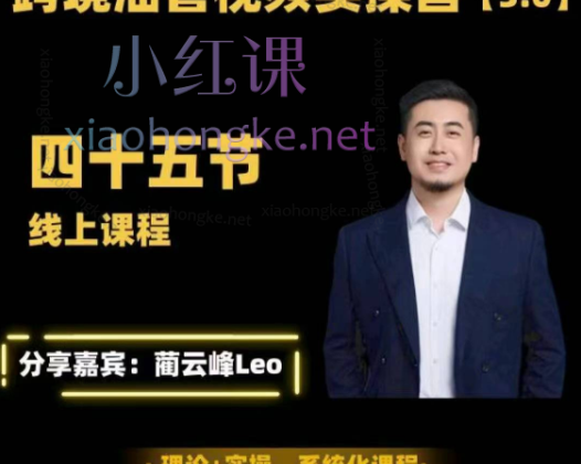 阿蔺Leo【黑松与山】油管YouTube线上运营实操课跨境电商YouTube运营