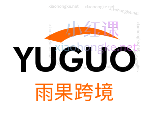 雨果跨境白金会员包括：亚马逊、阿里国际站、eBay、Google Ads、Lazada、Wish、Shopee独立站以及海外社媒等