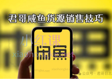 君哥日志闲鱼高客单价销售技巧，月入过万的副业金钥匙