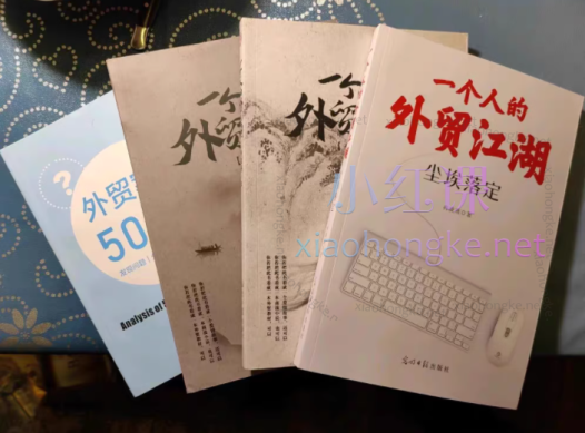 冉凌燕:一个人的外贸江湖全四册装 在无畏中狂欢+前路漫漫+尘埃落定+案例(pdf电子书)