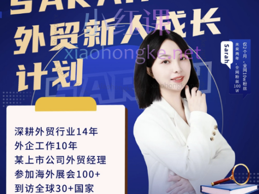 外贸达人Sarah爱沙拉，外贸新人成长系列课(200+外贸成交技巧/500+外贸话术)